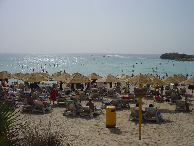 dsc_00264.JPG