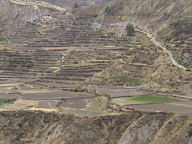 DSC00503