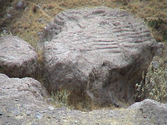 DSC00504