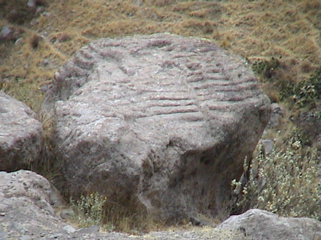 DSC00505
