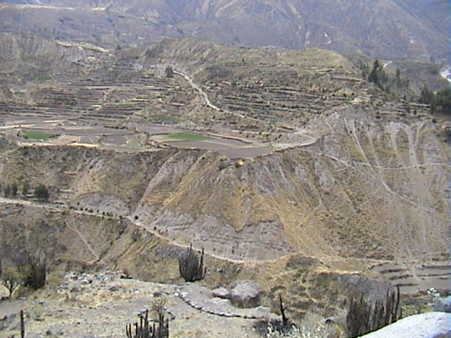 DSC00506