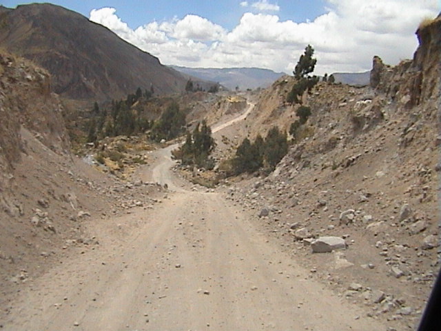 DSC00507
