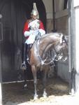 Horse Guards
