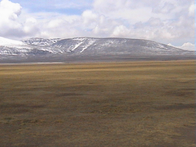 DSC00516