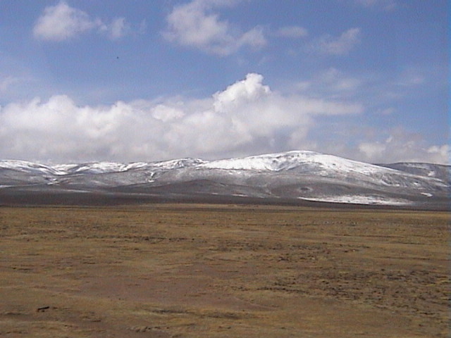 DSC00517