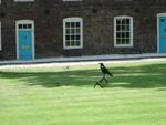 England_05_The_Tower_of_London_029.jpg