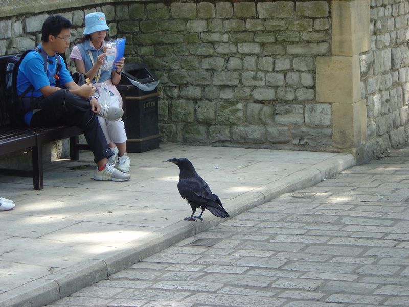 England_05_The_Tower_of_London_030.jpg