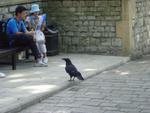 England_05_The_Tower_of_London_030.jpg