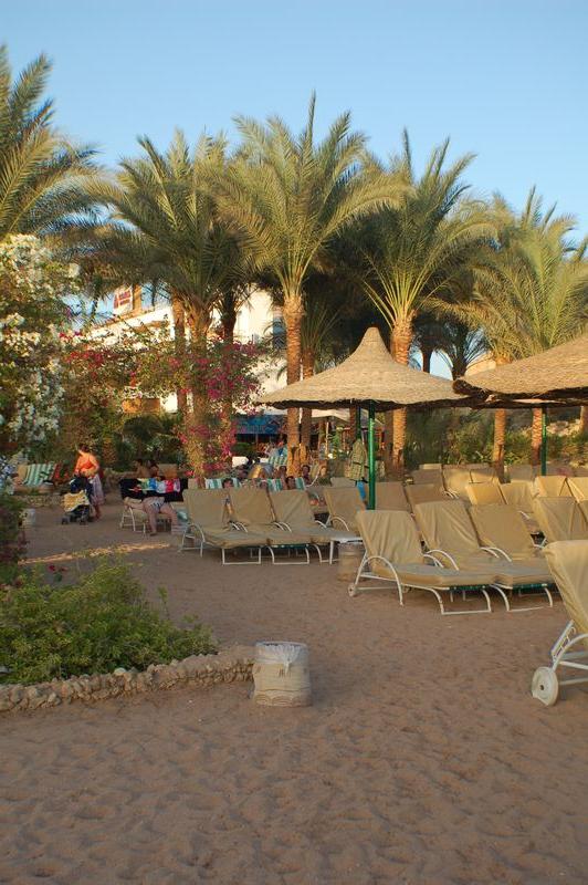 Egypt_038.JPG