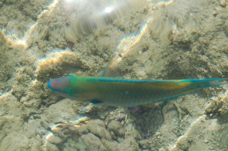 Egypt_045.JPG