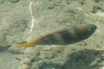 Egypt_046.JPG