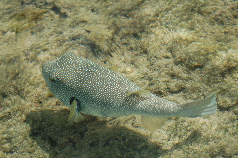 Egypt_048.JPG