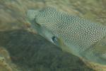 Egypt_050.JPG