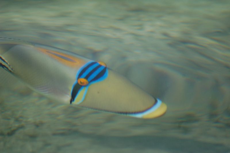 Egypt_051.JPG