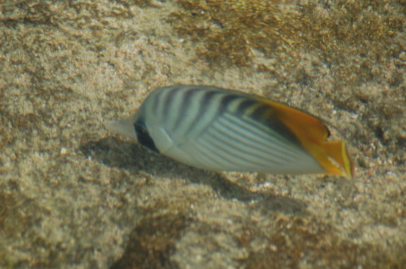 Egypt_053.JPG