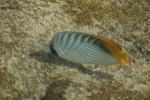 Egypt_053.JPG