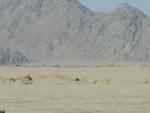 Egypt_072.JPG