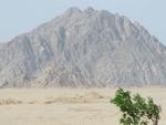 Egypt_073.JPG