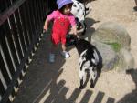 IMG_4569.JPG