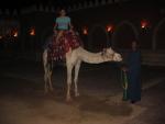 IMG_5379.JPG