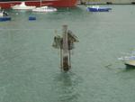 England_05_Portsmouth_002.jpg