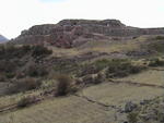 DSC00554