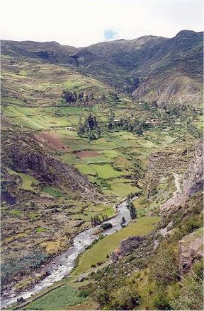 Image01