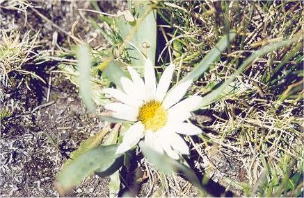 Image07