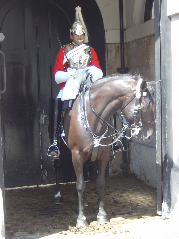 England_05_Horse_Guards_015.jpg