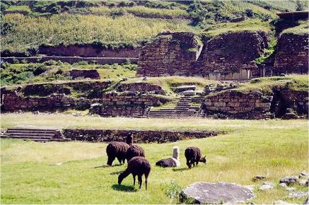Image13