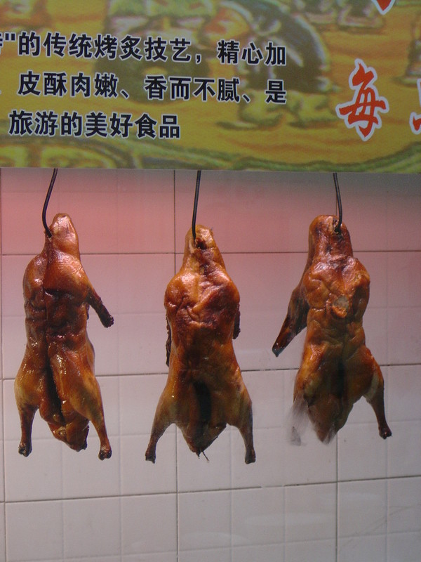 DSC05108