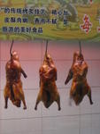 DSC05108