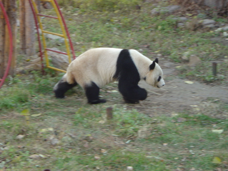DSC04807