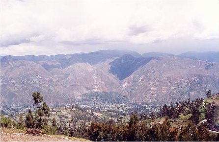 Image80