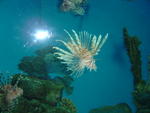 DSC04830