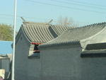 DSC05010