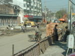 DSC05012