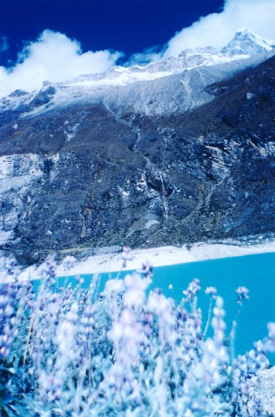 Paron14