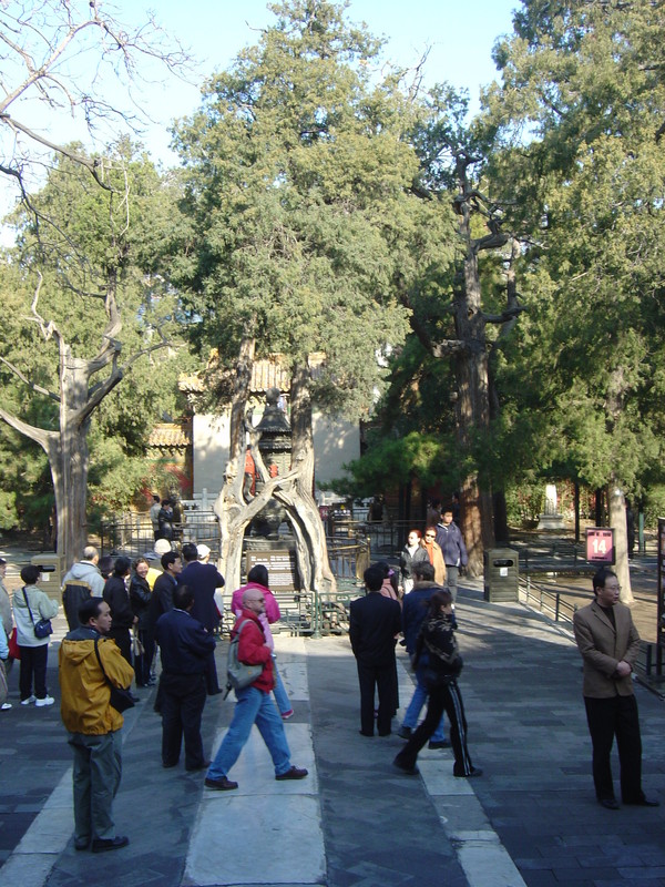 DSC04996