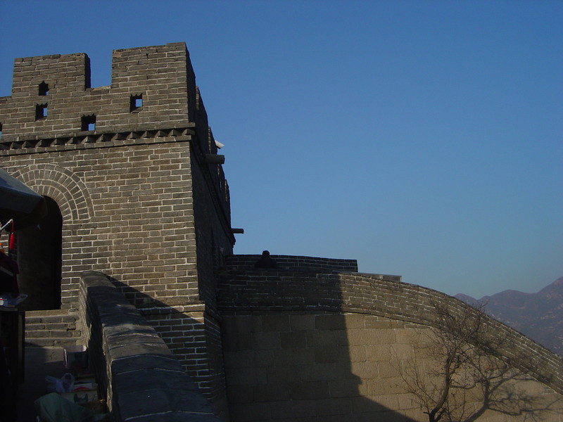 DSC05071