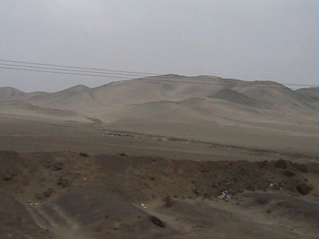 DSC00364