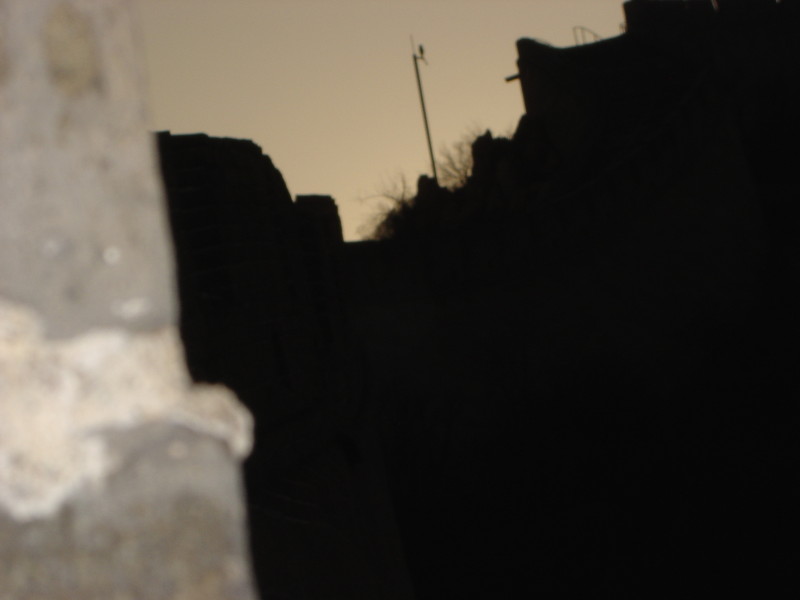 DSC05099