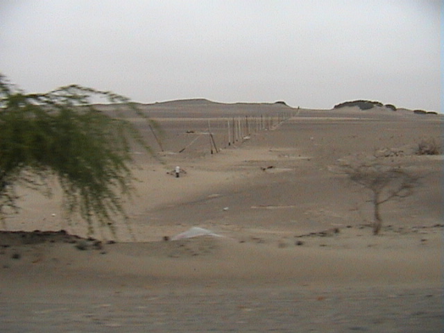 DSC00368
