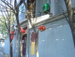 DSC04705