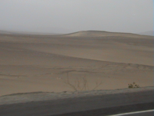 DSC00369