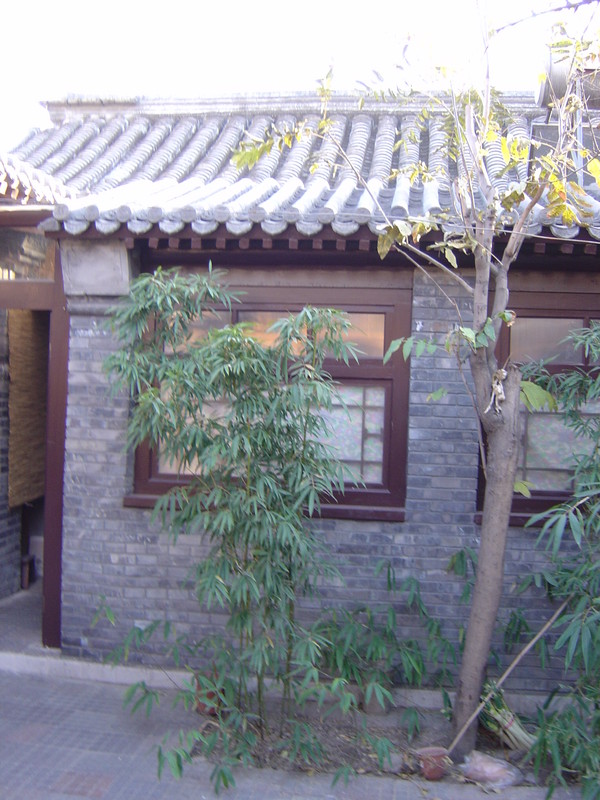 DSC04734