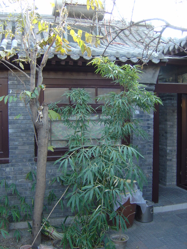 DSC04736