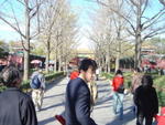 DSC04931