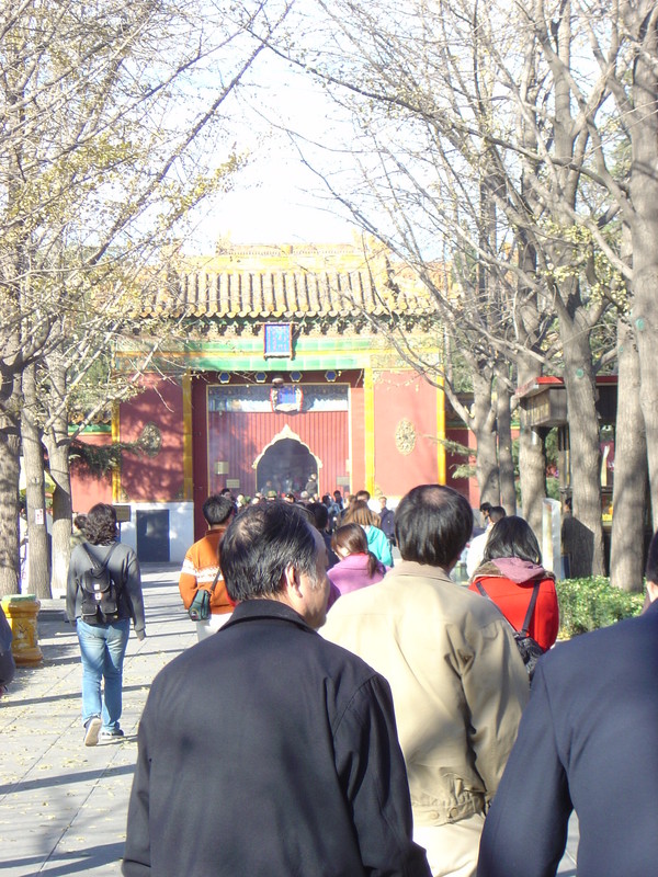 DSC04932