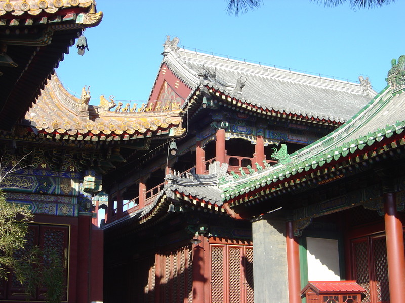 DSC04936
